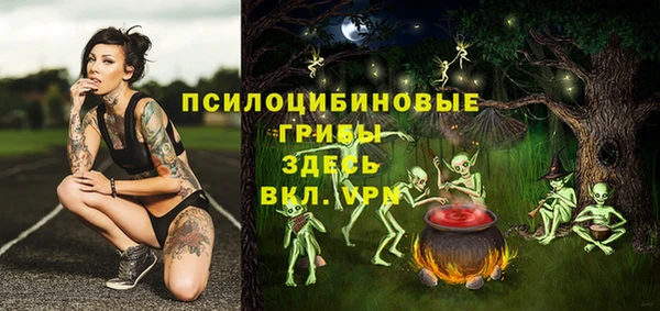 spice Зерноград