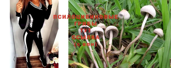 mdma Дмитриев