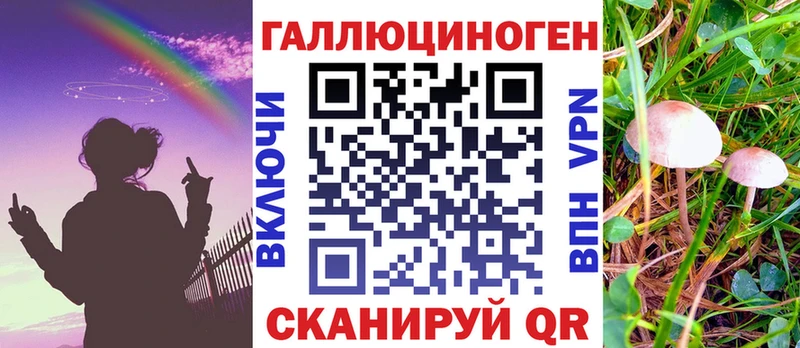 блэк спрут рабочий сайт  Беломорск  Галлюциногенные грибы Psilocybe 
